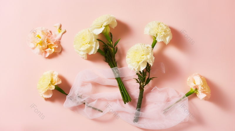 母亲节康乃馨花卉素材背景图,高清,摄影图,摄影图片,图片大全,摄影图免费下载